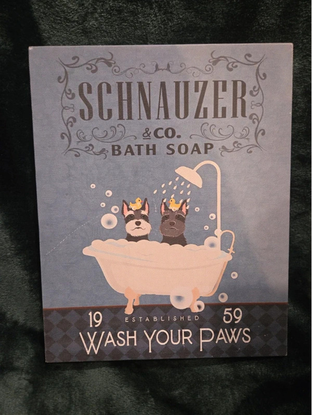 Schnauzer bath picture